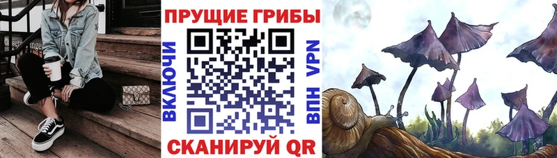 Галлюциногенные грибы мицелий  Пикалёво 