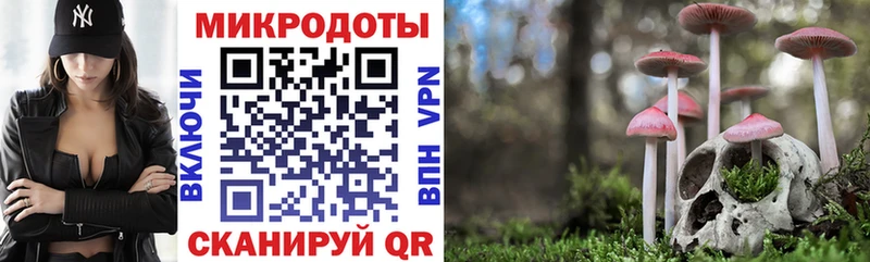 Галлюциногенные грибы мицелий Пикалёво
