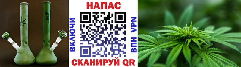 Каннабис конопля  Пикалёво 